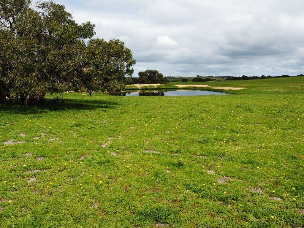 Lot 3562 Boundary Road, Moora WA 6510, Image 0