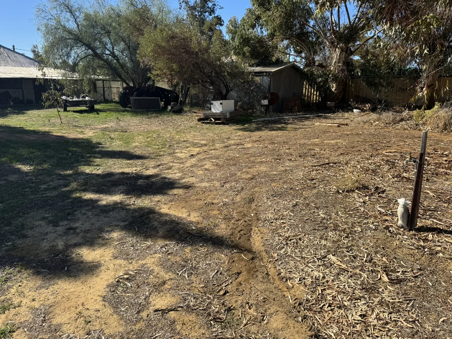 Image 30