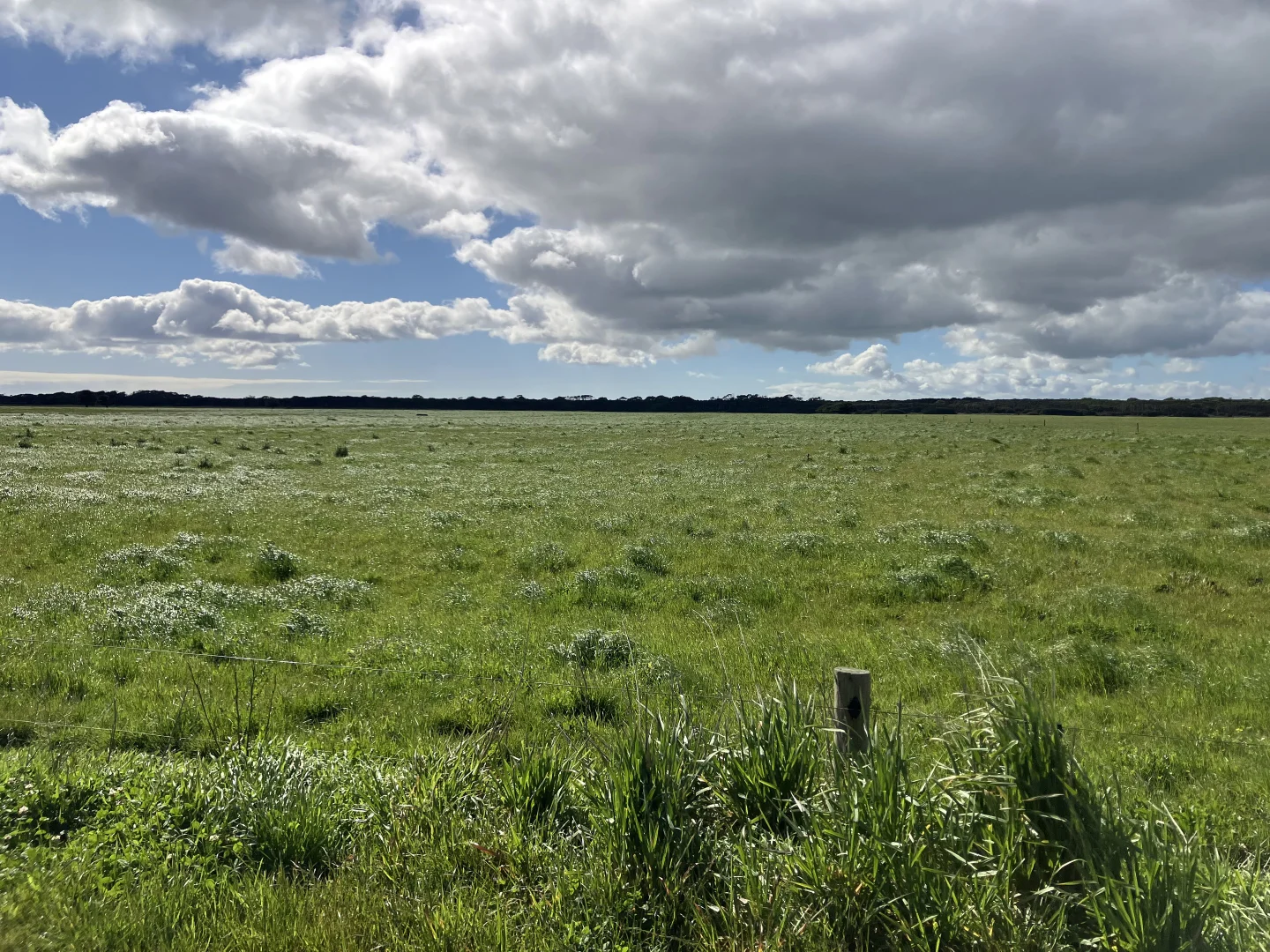 Additional image 6 of 10/648 West Montagu Road, Woolnorth TAS 7330