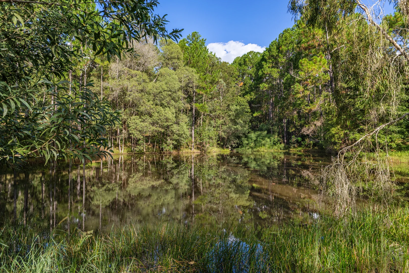 Additional image 22 of 62 Old Mill Road, Carters Ridge QLD 4563