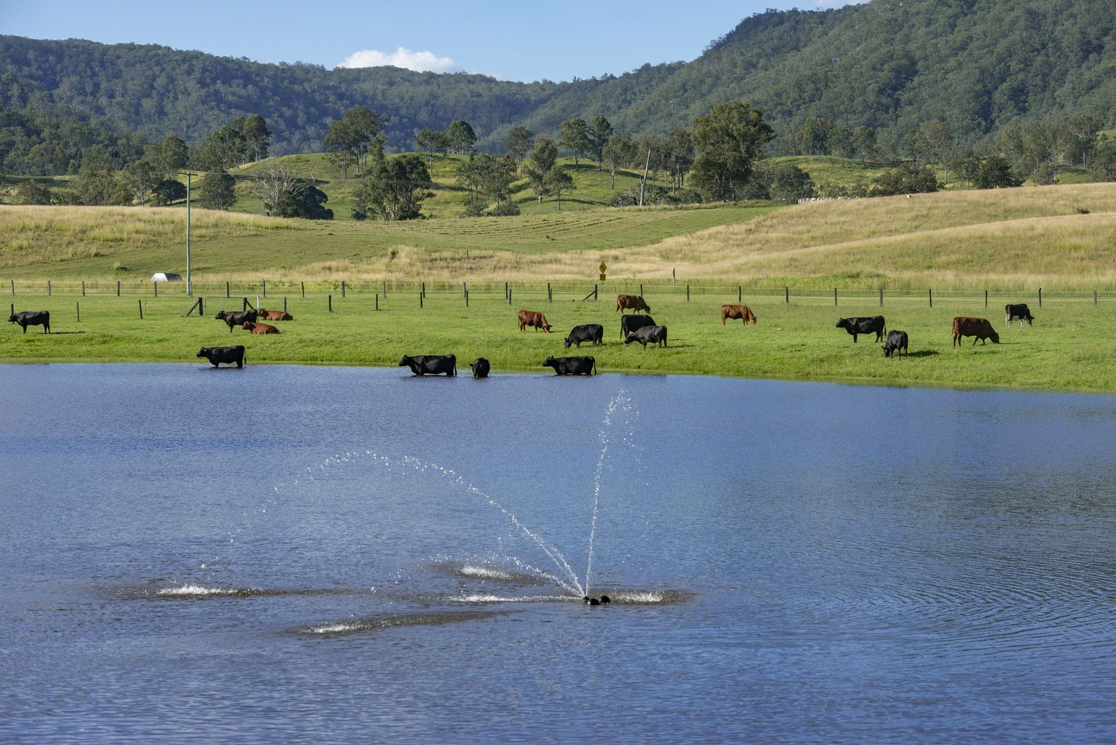1507 Mount Kilcoy Road, Mount Kilcoy QLD 4515 Specialist Farm for Sale