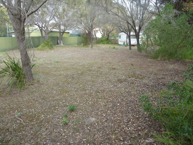 78 (Lot 124) Ti-Tree Road, The Pines SA 5577, Image 1