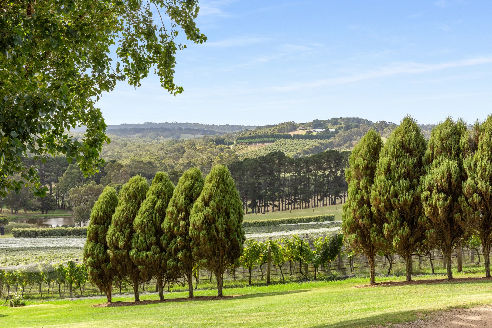 Additional image 23 of 72 Baldrys Road, Main Ridge VIC 3928