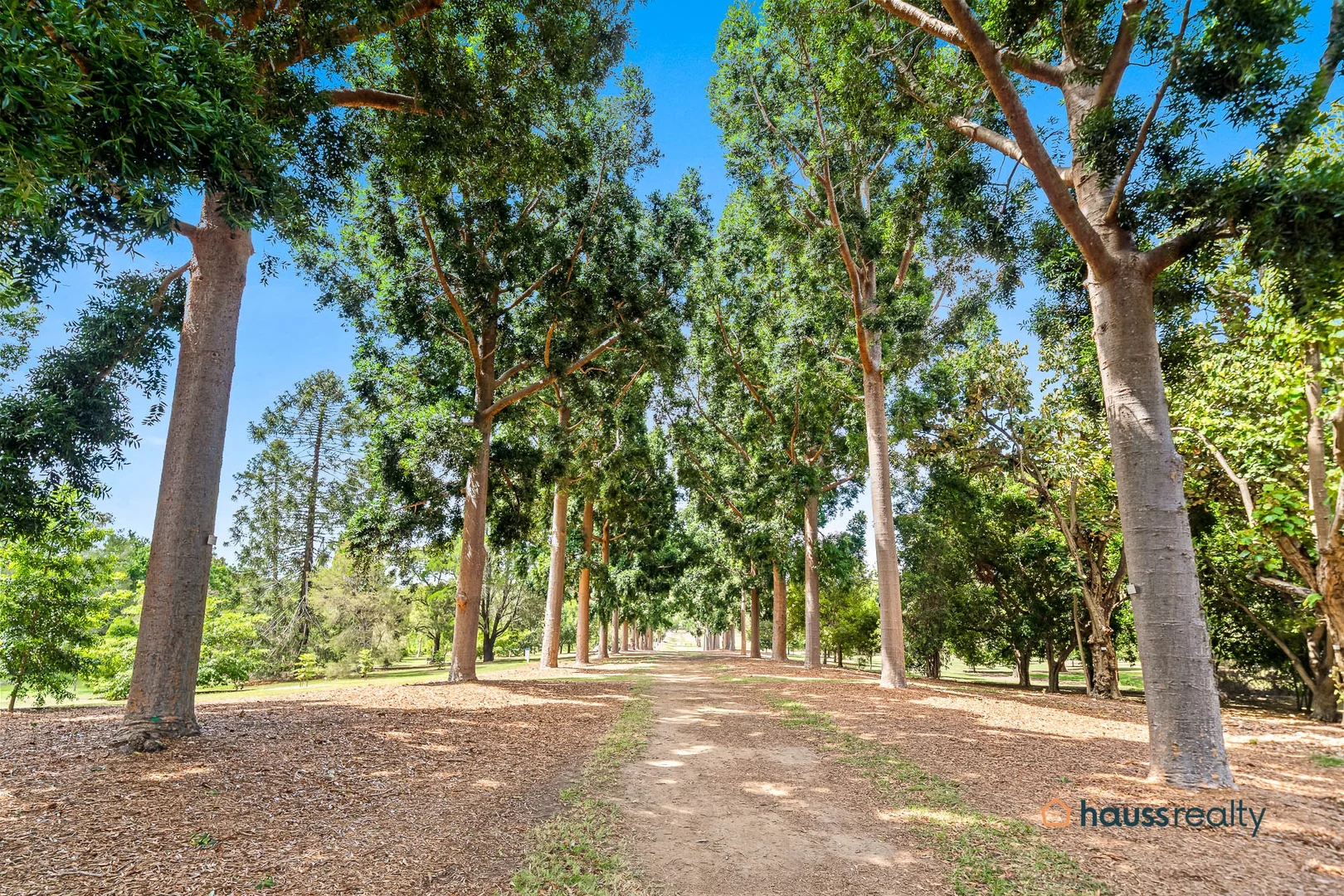 Additional image 17 of 99 Borden Street, Sherwood QLD 4075