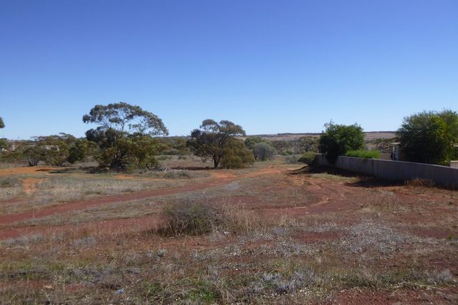 Picture of 15 Fry Street, MULLEWA WA 6630