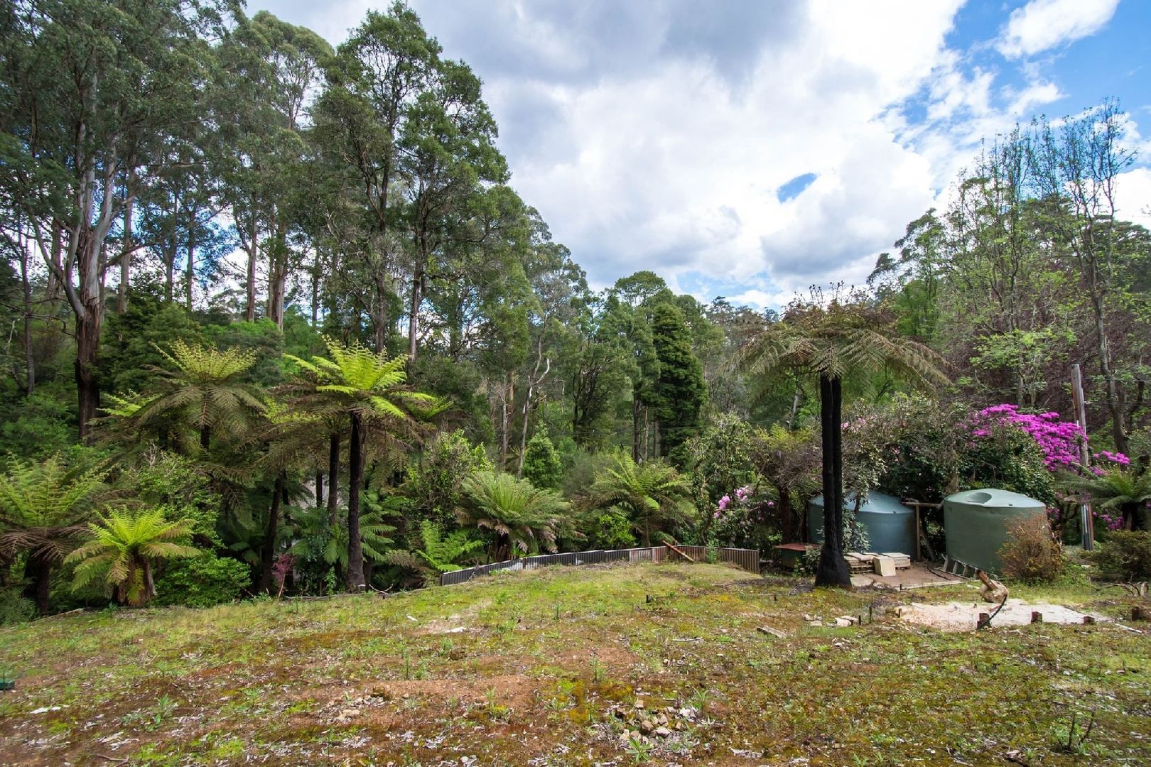 13 Colehurst Crescent, Sassafras VIC 3787, Image 2