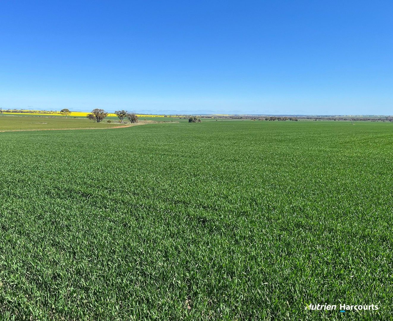 S O L D  'Rocky Pass Quelagetting Road, Cunderdin WA 6407, Image 0