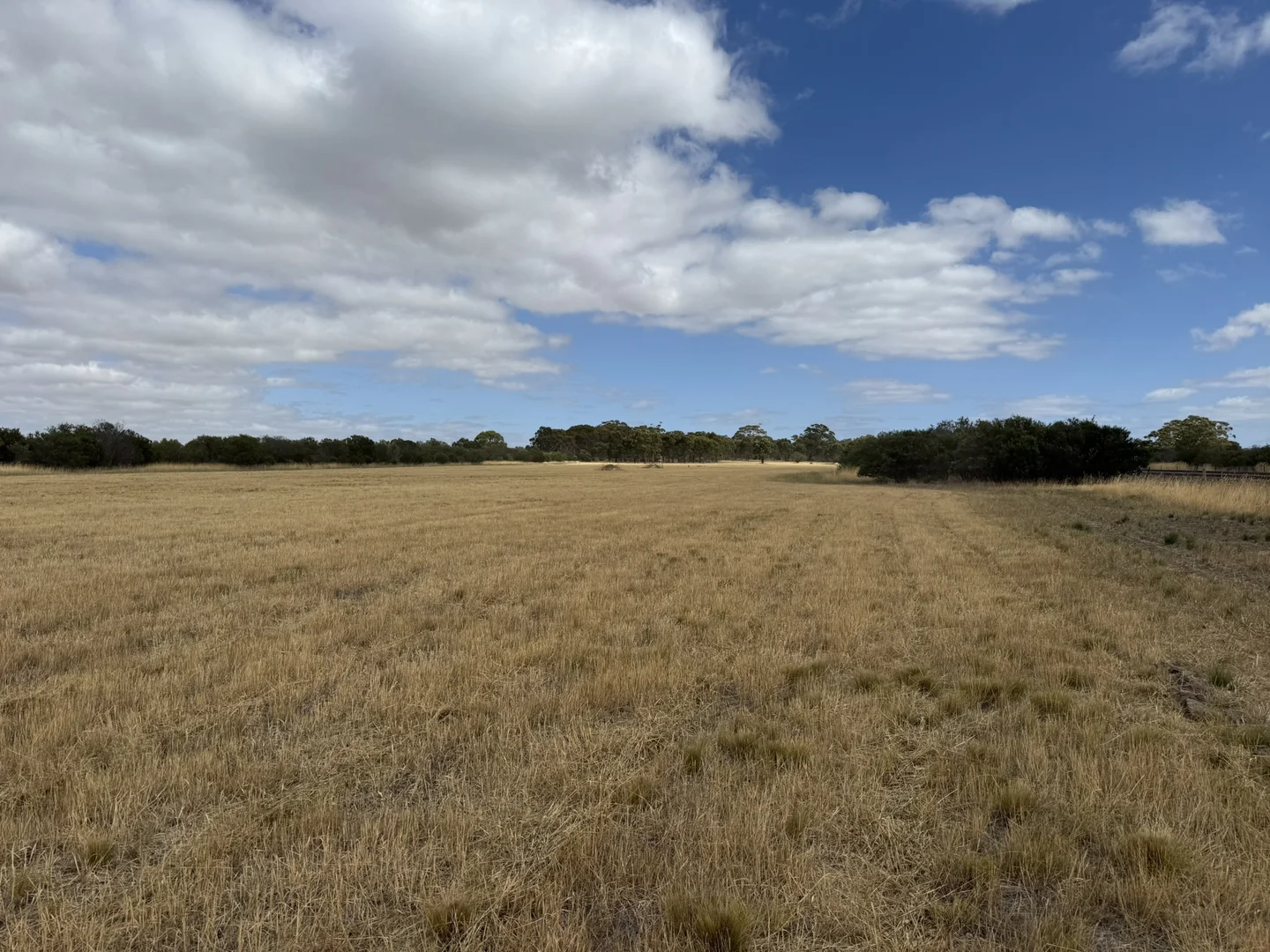 Image 14