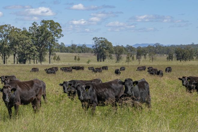 Picture of 0 Owens Scrub Road, TUMMAVILLE QLD 4352