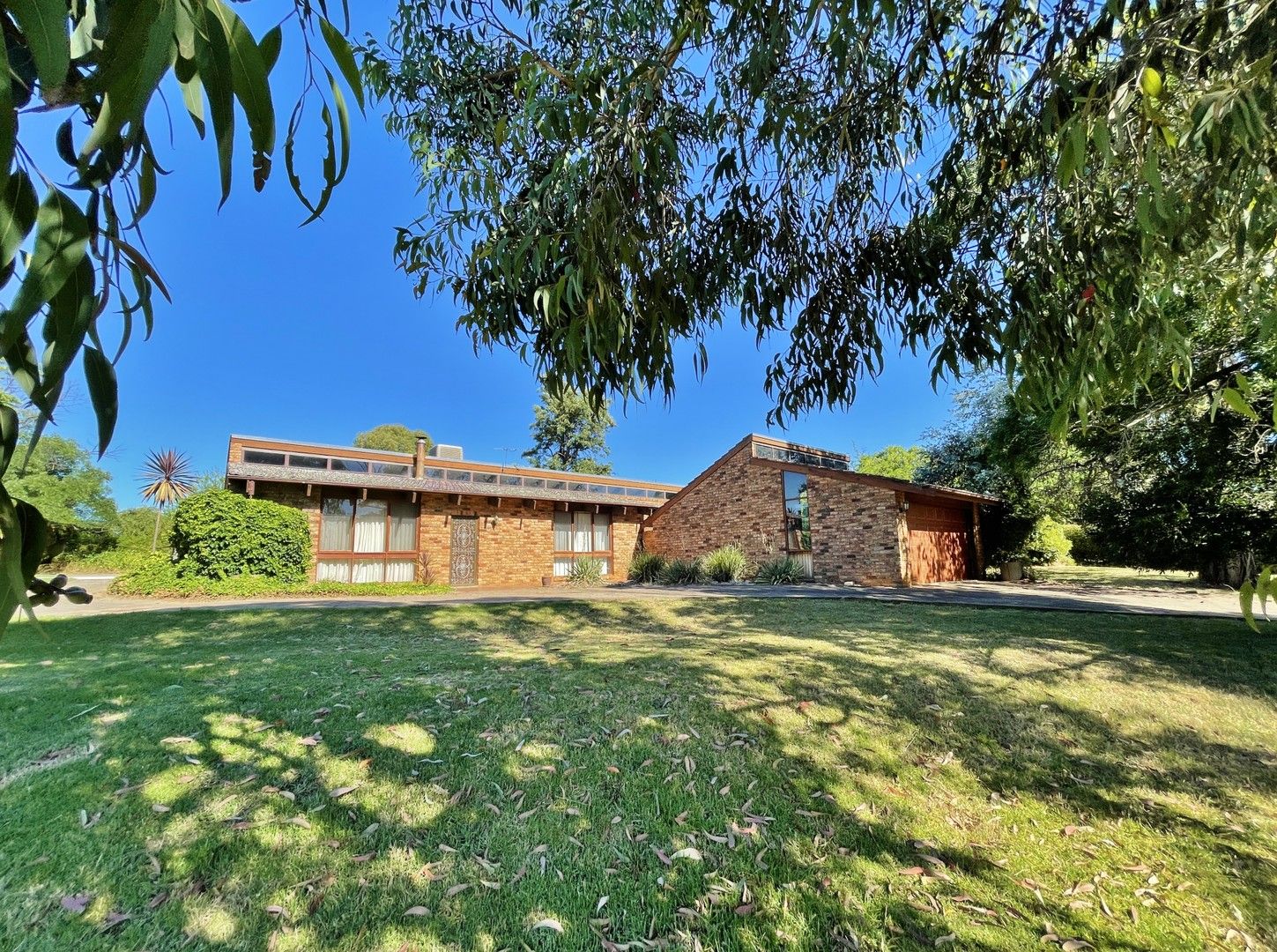 33 Back Creek Road, Young NSW 2594, Image 0