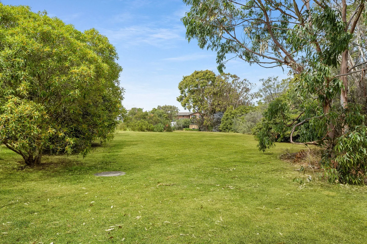 Image 13
