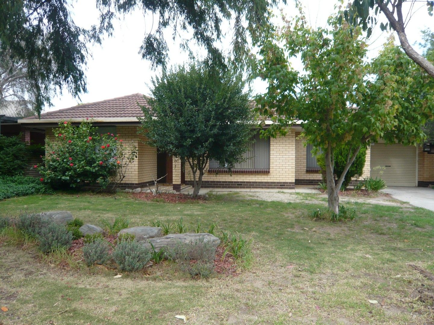 8 Elmwood Avenue, Paradise SA 5075 House For Rent Domain