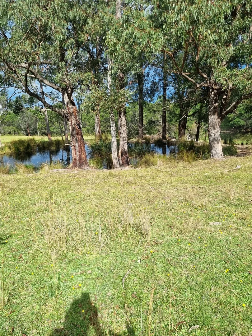 Image 7