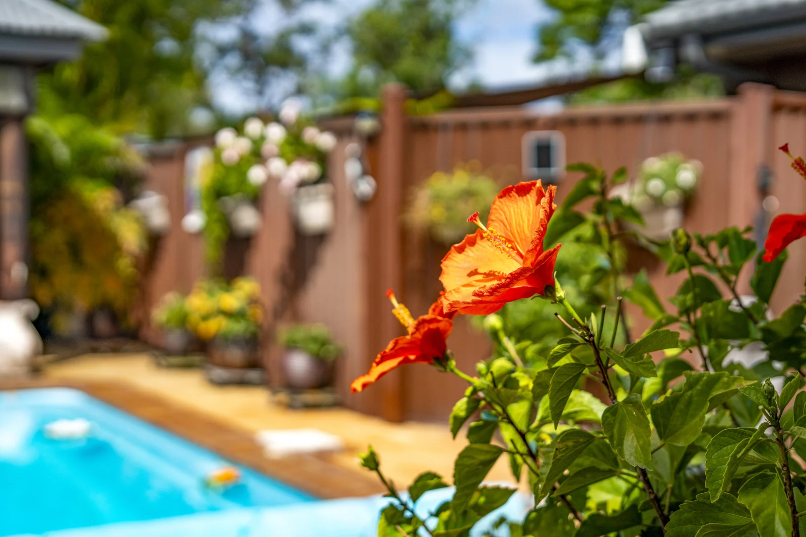 Additional image 5 of 2/7 Gardiners Place, Southport QLD 4215