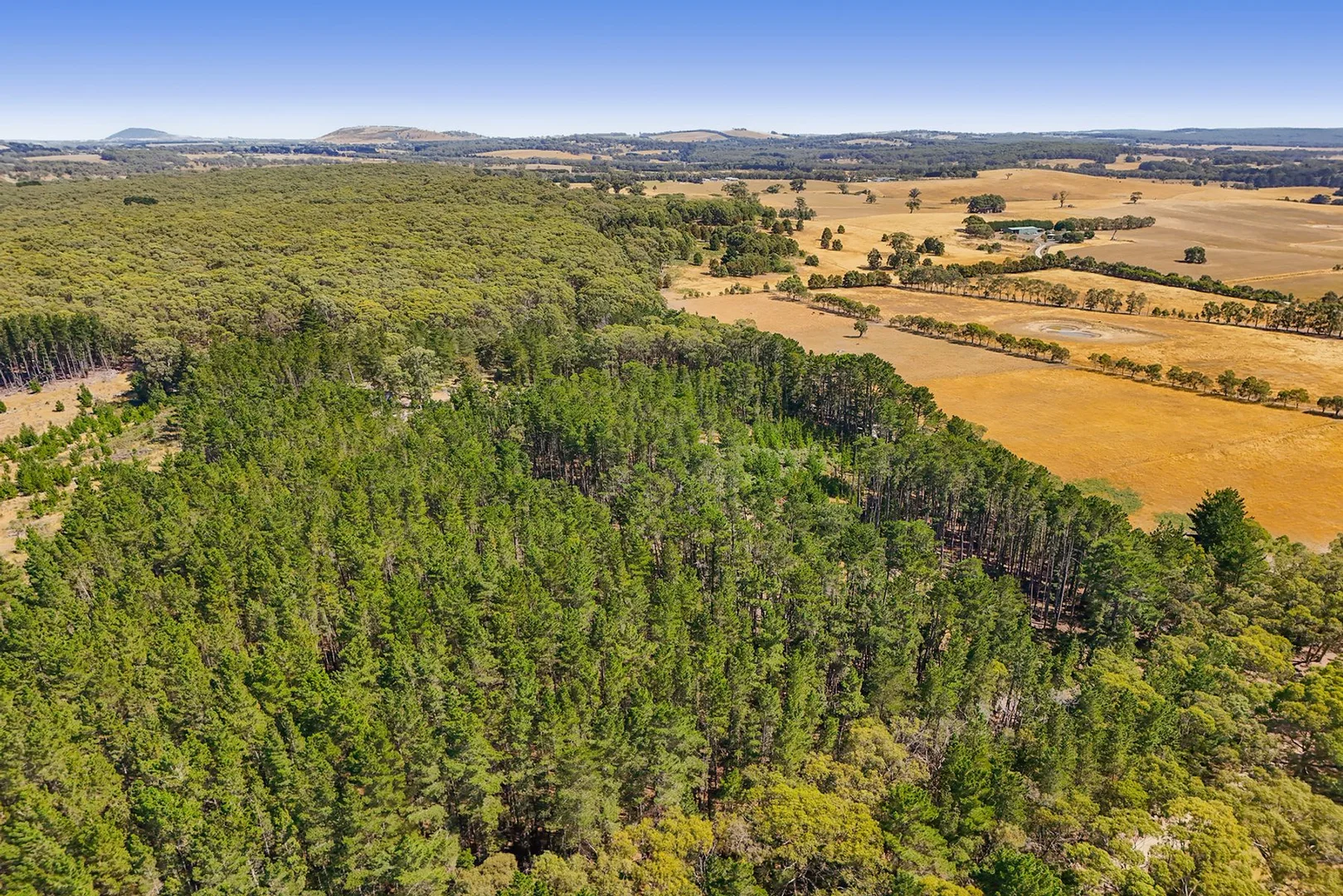 Additional image 11 of Lot 1 Llandeilo Lane, Ballan VIC 3342