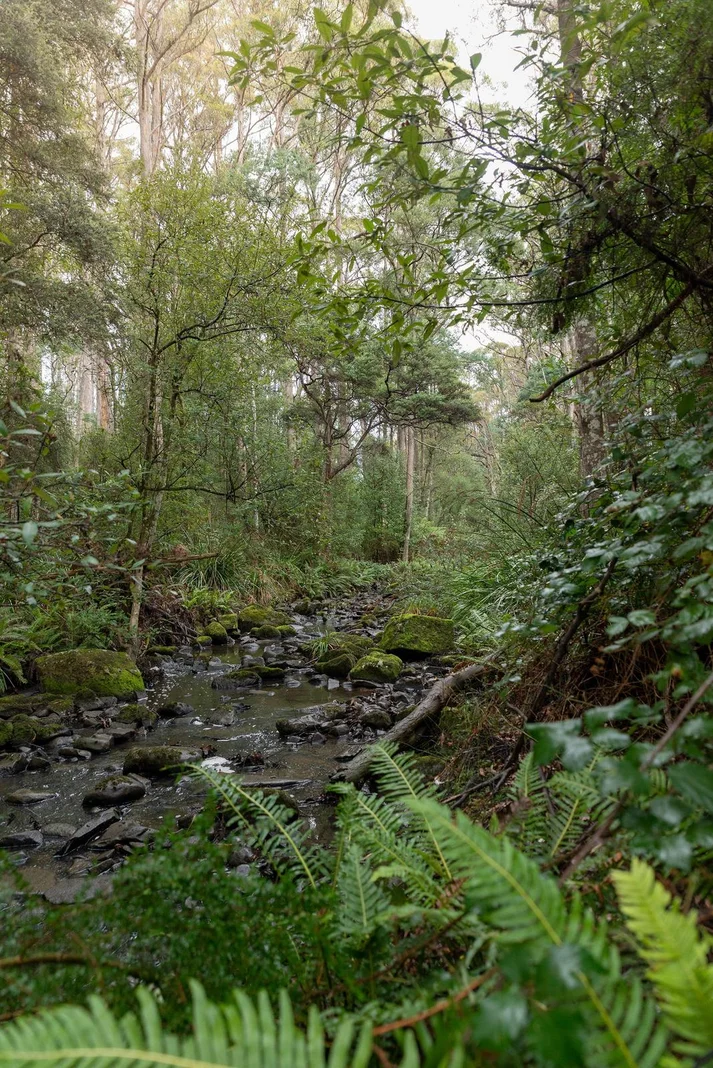 Image 16