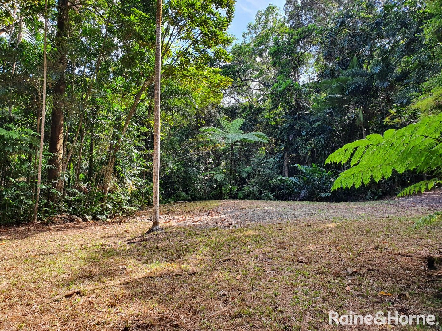 132 George Road, FOREST CREEK, Daintree QLD 4873, Image 0