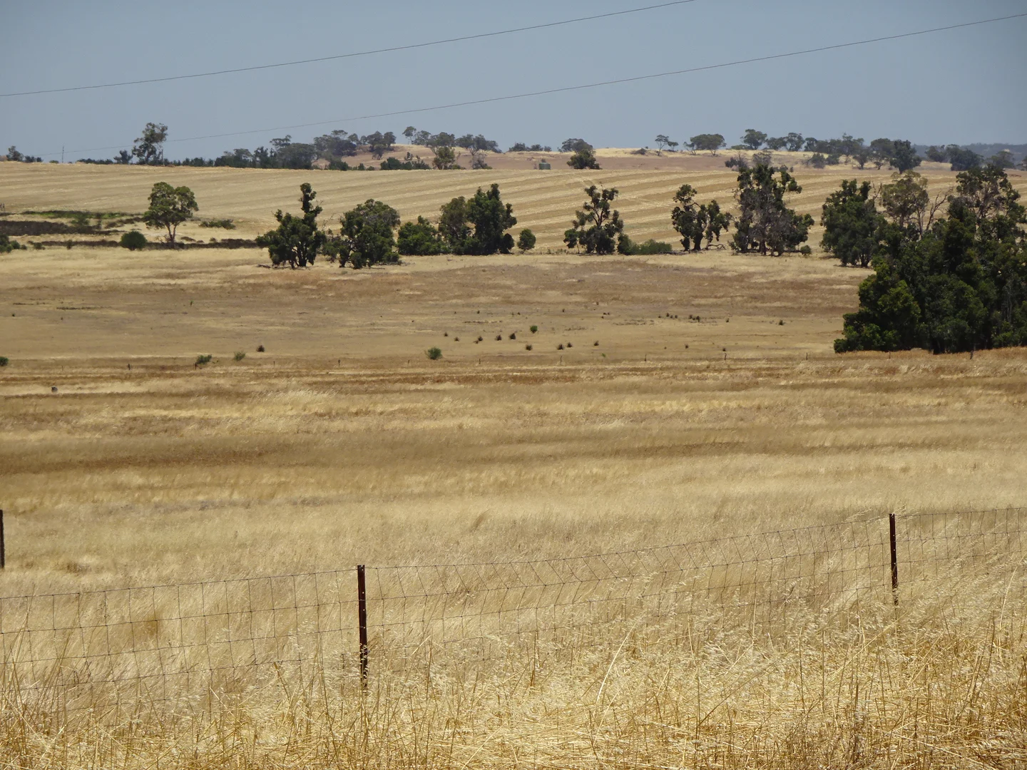 Image 8