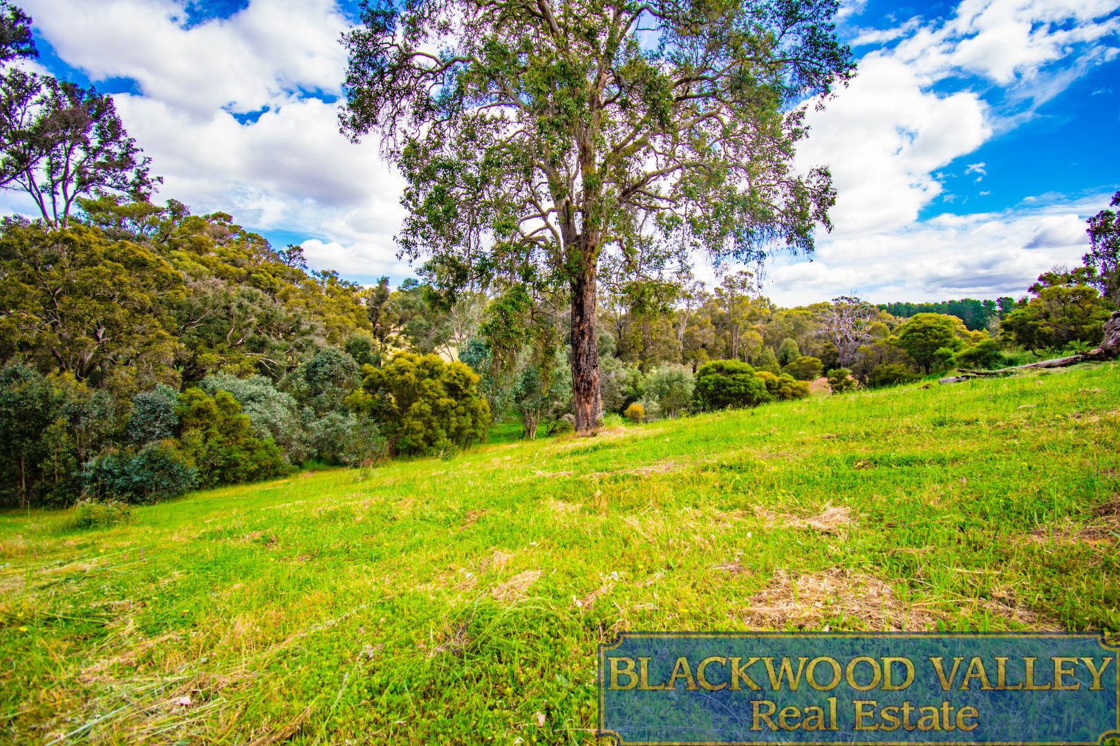 Lot 21 Yarri Brow, Bridgetown WA 6255, Image 1