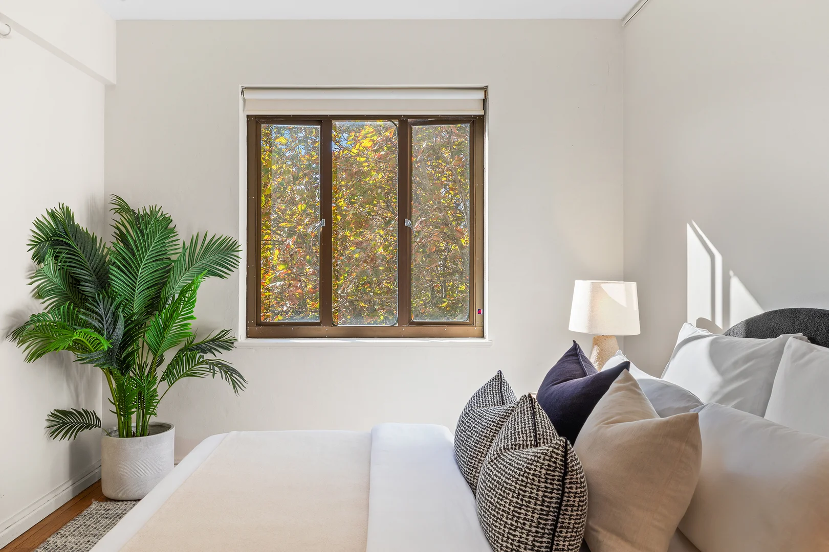 Additional image 14 of 62/117 Macleay Street, Potts Point NSW 2011