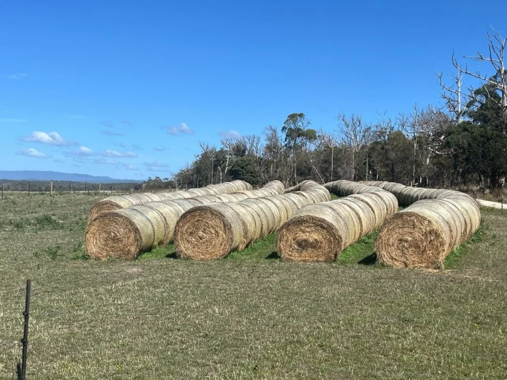 Additional image 8 of 559 North Ansons Road, Gladstone TAS 7264