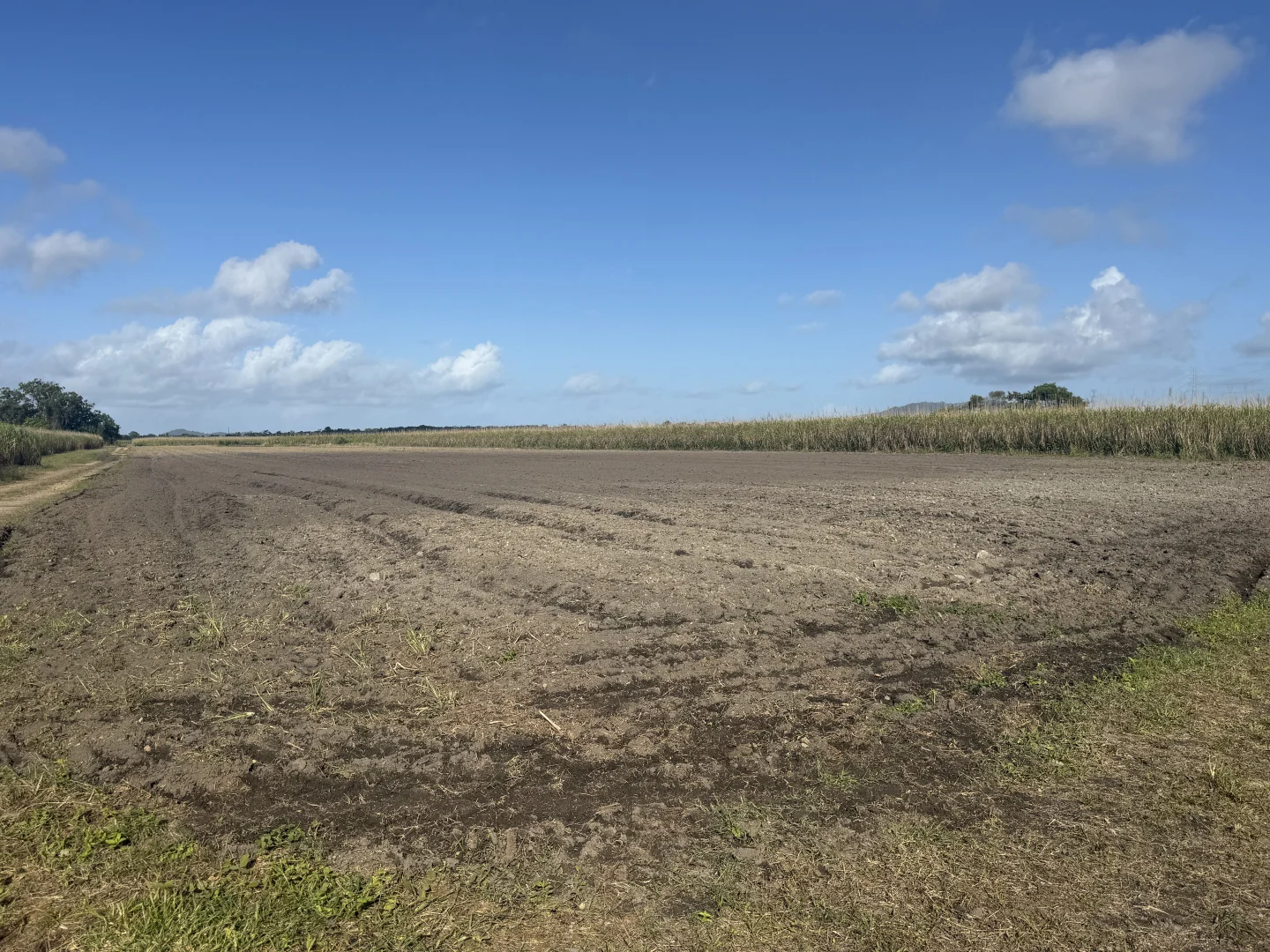 Silkwood QLD 4856 photo 3