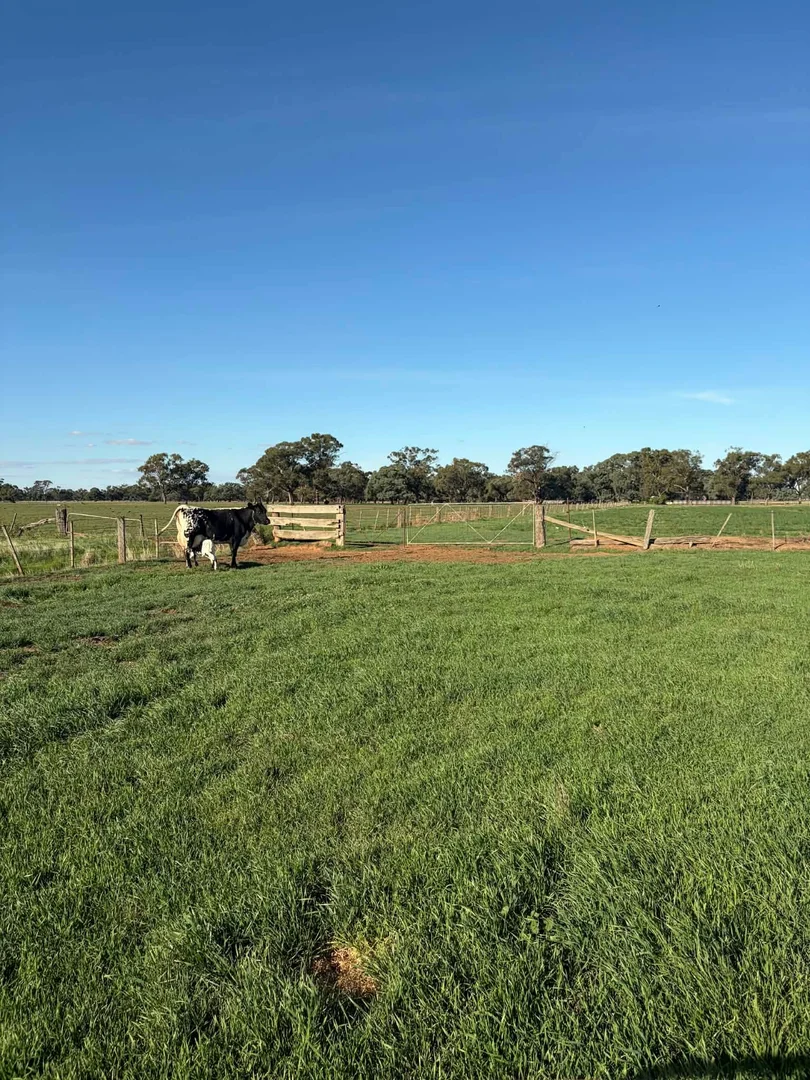 Additional image 15 of 78 Nicholson Lane, Kotta VIC 3565