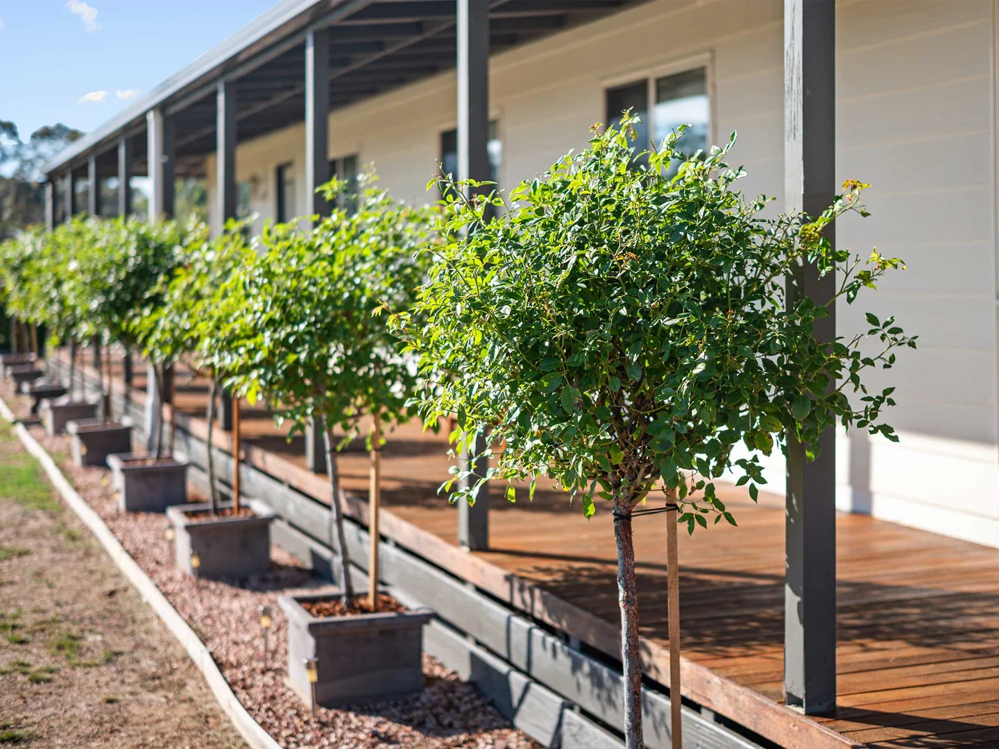 Additional image 6 of 32 Willis Street, Cavendish VIC 3314