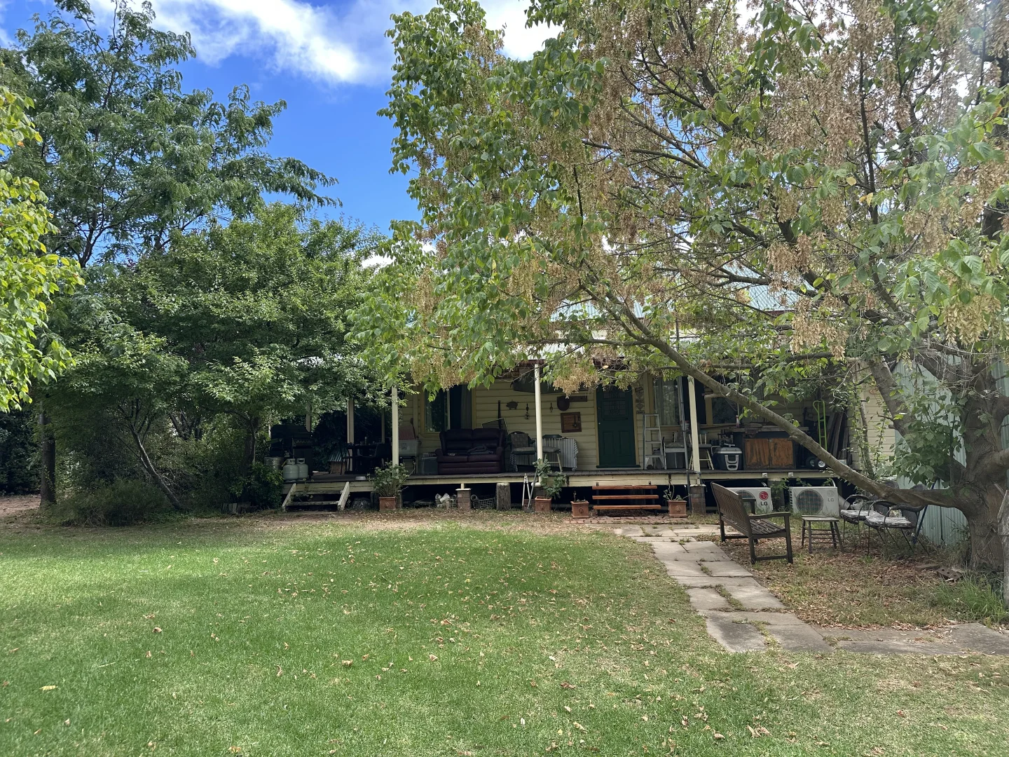 Image 19