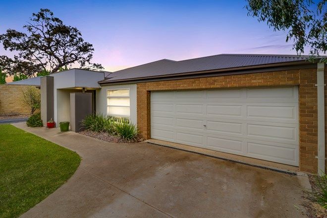 Picture of 7 Redgum Drive, MANSFIELD VIC 3722