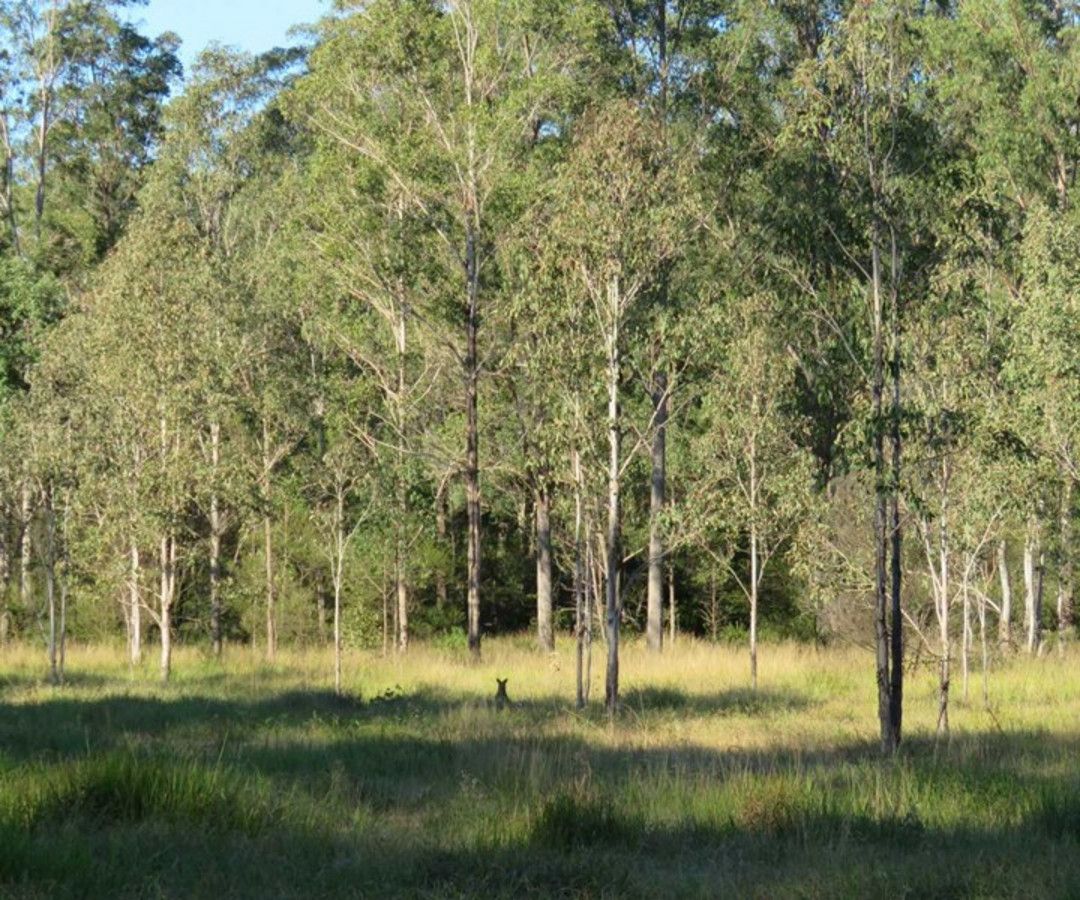 Lot 532 Kimbin Pikapene Road, Pikapene NSW 2469, Image 2