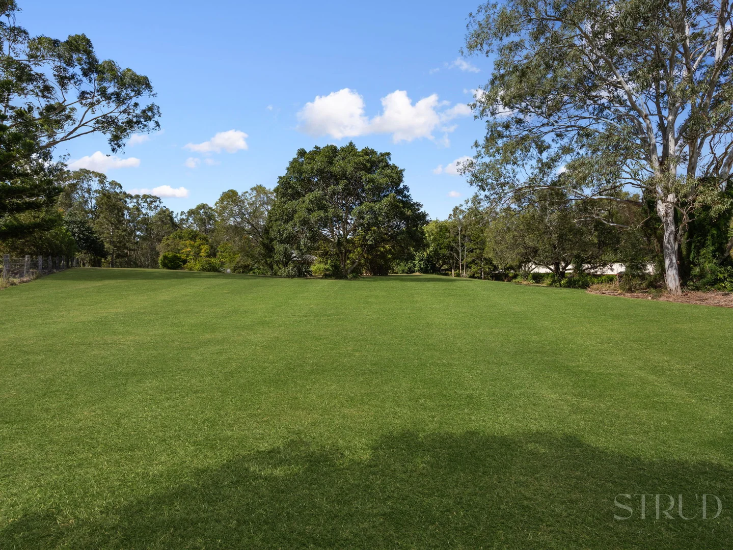 Image 36
