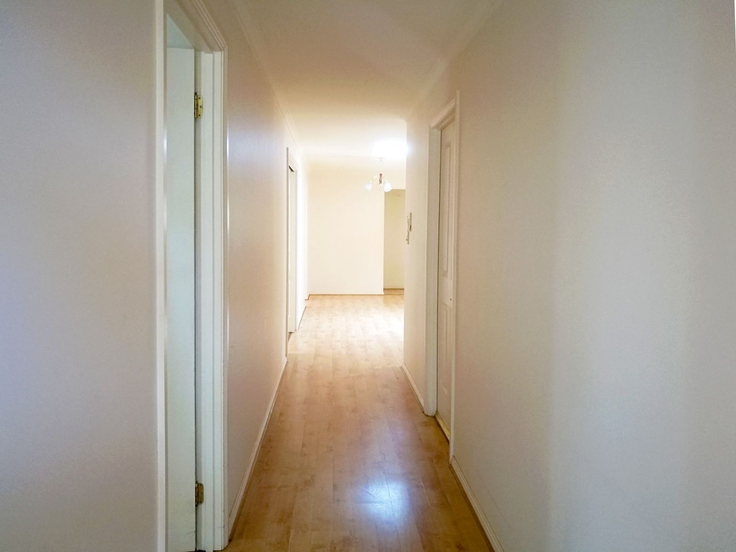 19 Queensborough Street, Hillcrest SA 5086 House For Rent Domain