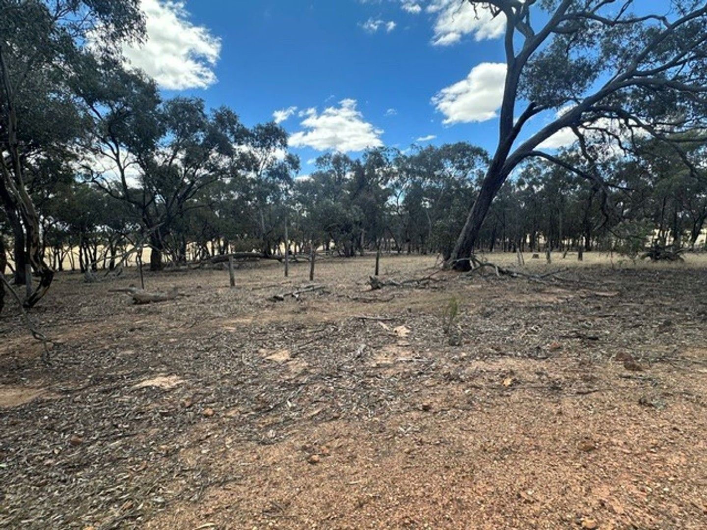 C/A 3P Sec A Bealiba-Rheola Road, Cochranes Creek VIC 3475, Image 0