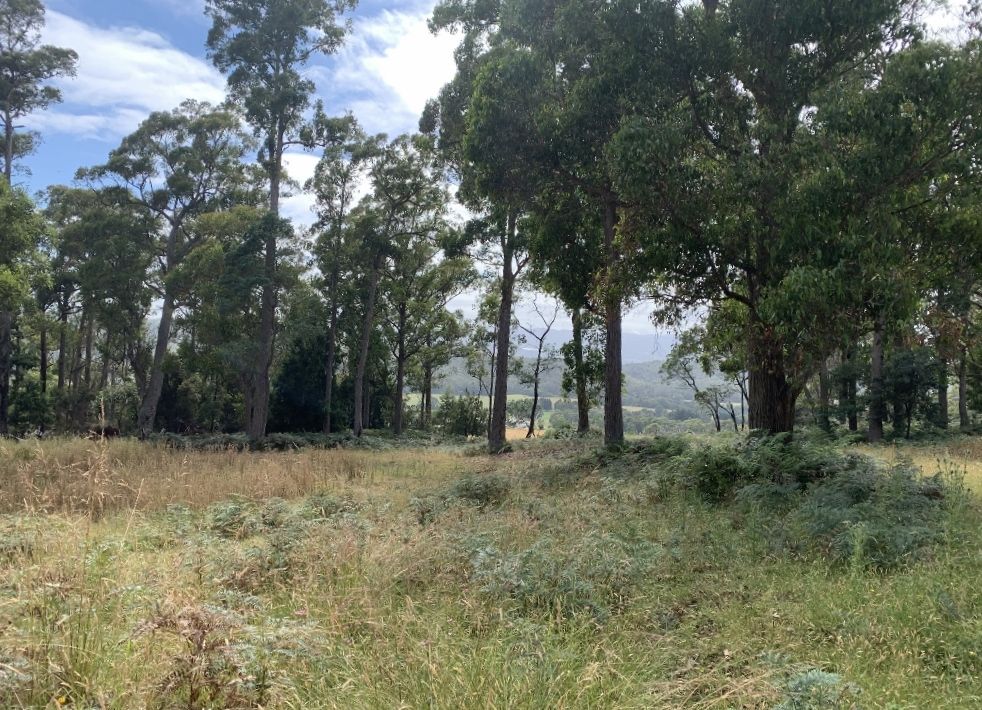 West Tamar Highway, Loira TAS 7275 Vacant Land for Sale Domain