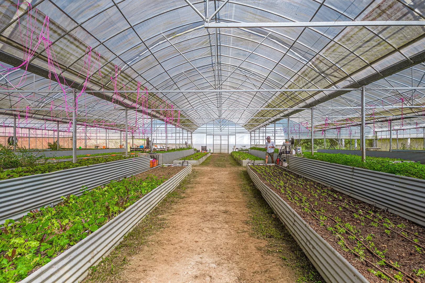 Additional image 26 of 71 Cooks Road, Nashua NSW 2479