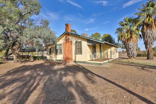 Picture of 399 Delta Road, CURLWAA NSW 2648