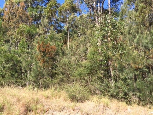 Lot 40 Mortimer Road, Falls Creek NSW 2540, Image 1