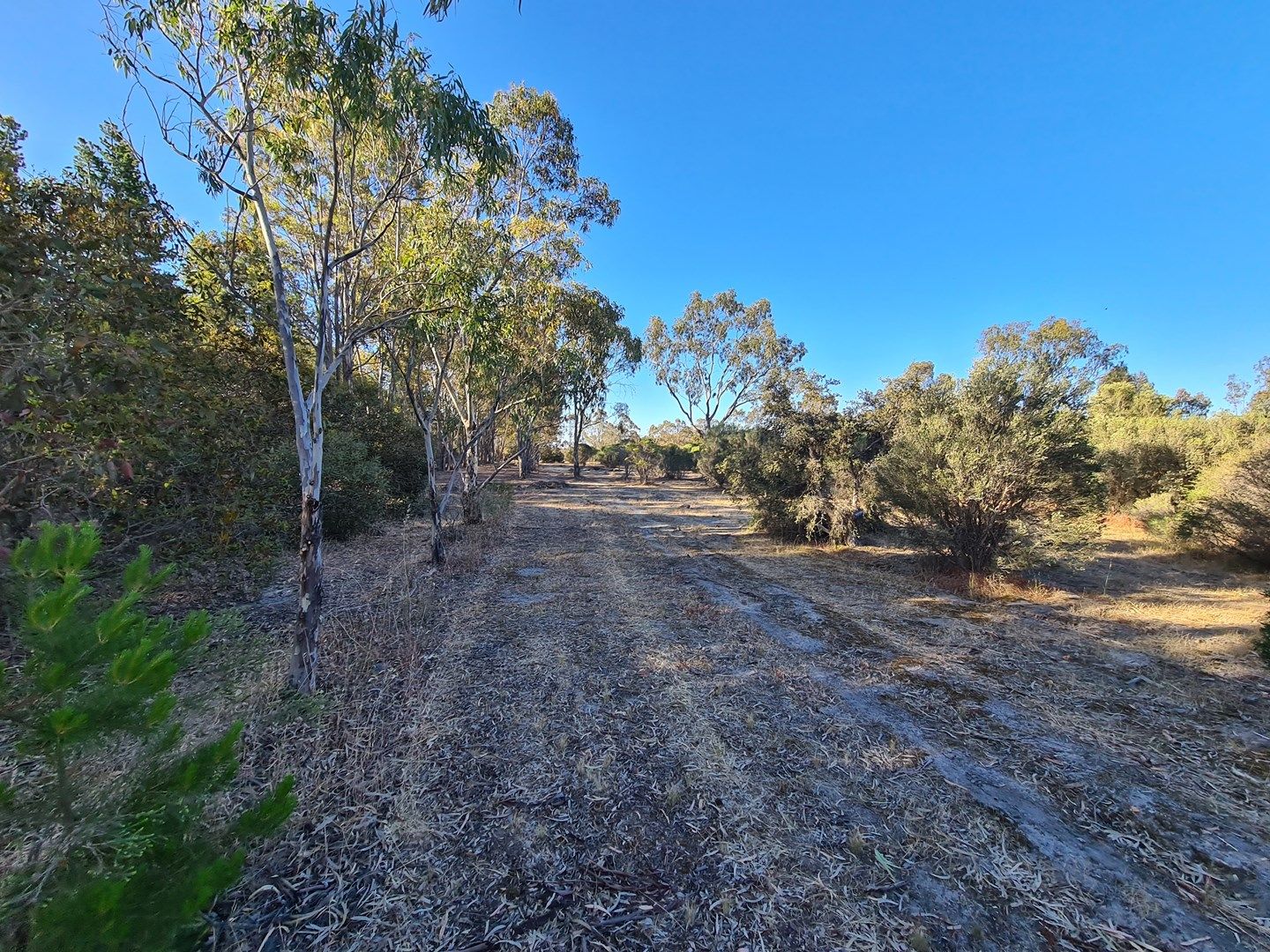 627 Wanke Street, Katanning WA 6317 Vacant Land for Sale 155,000