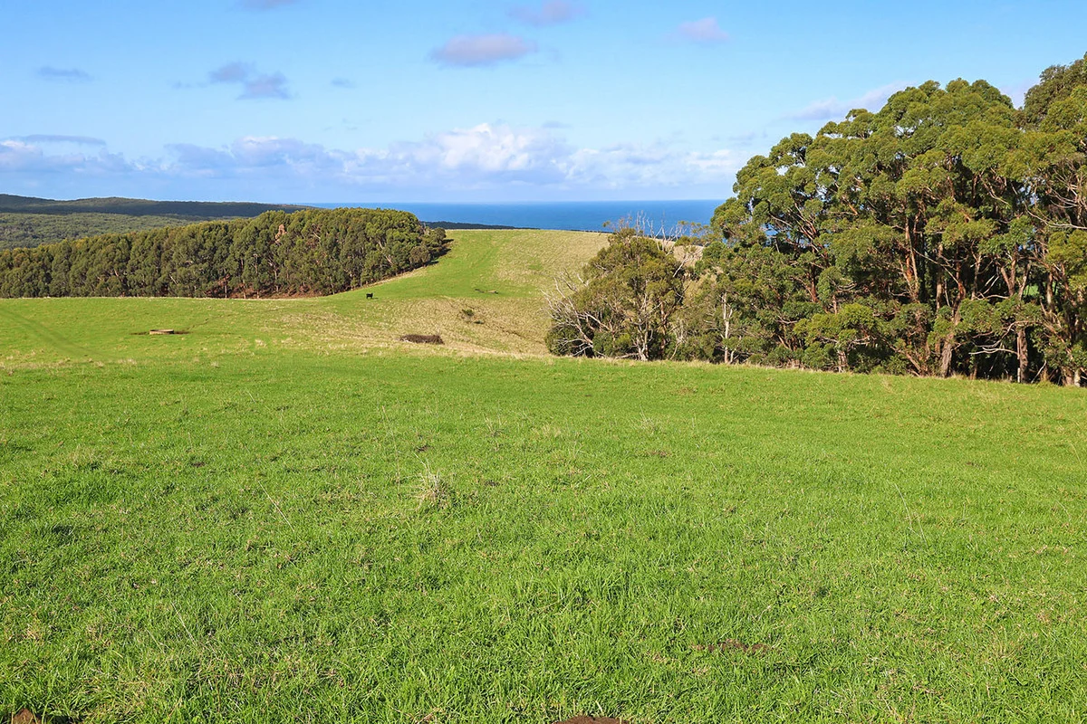 Image 15