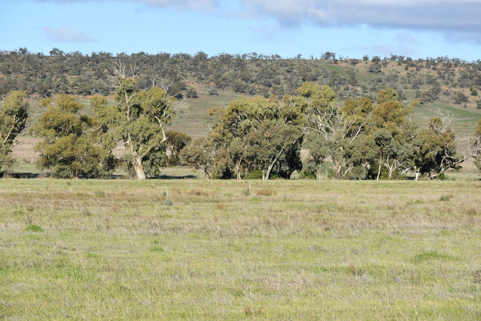 Richman Valley Road, Quorn SA 5433 vacant land for Sale, 85,000