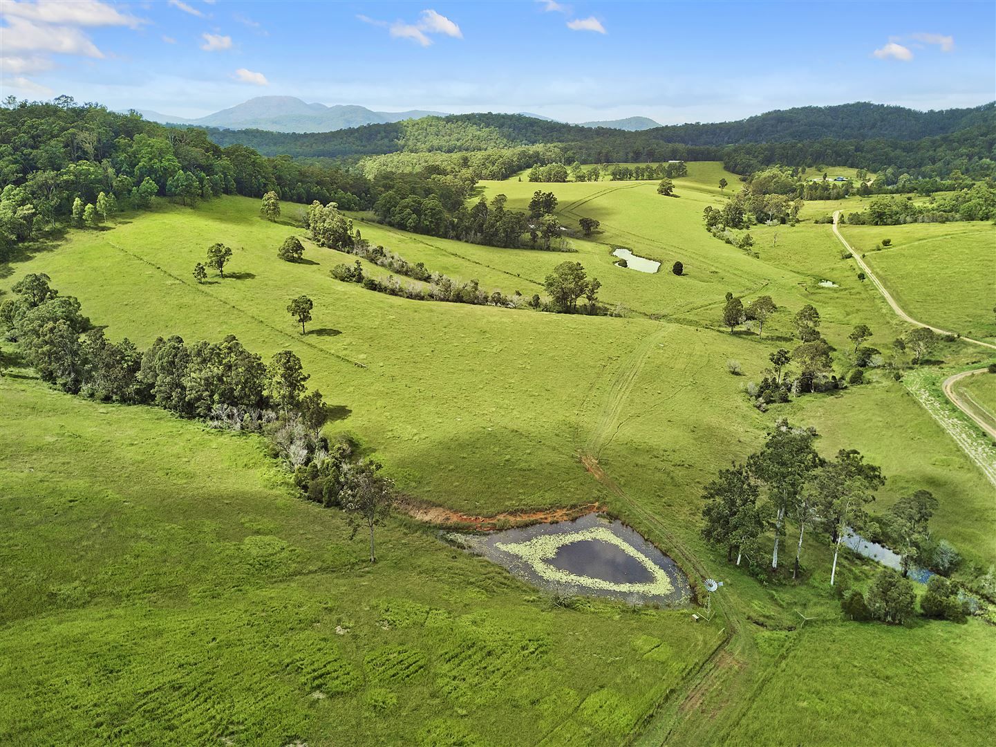 629 Upper Rollands Plains Road, Rollands Plains NSW 2441 Farm for