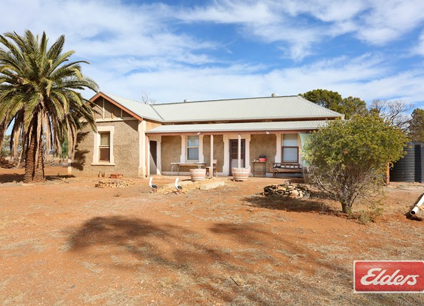 94 Robertson Road, Towitta SA 5353