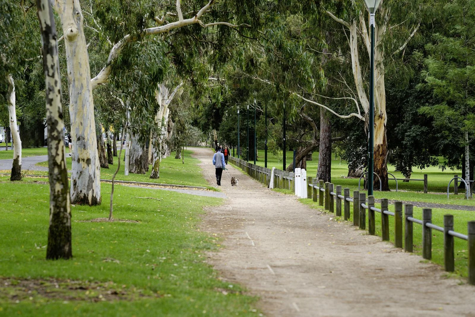 Additional image 7 of 310/445 Royal Parade, Parkville VIC 3052