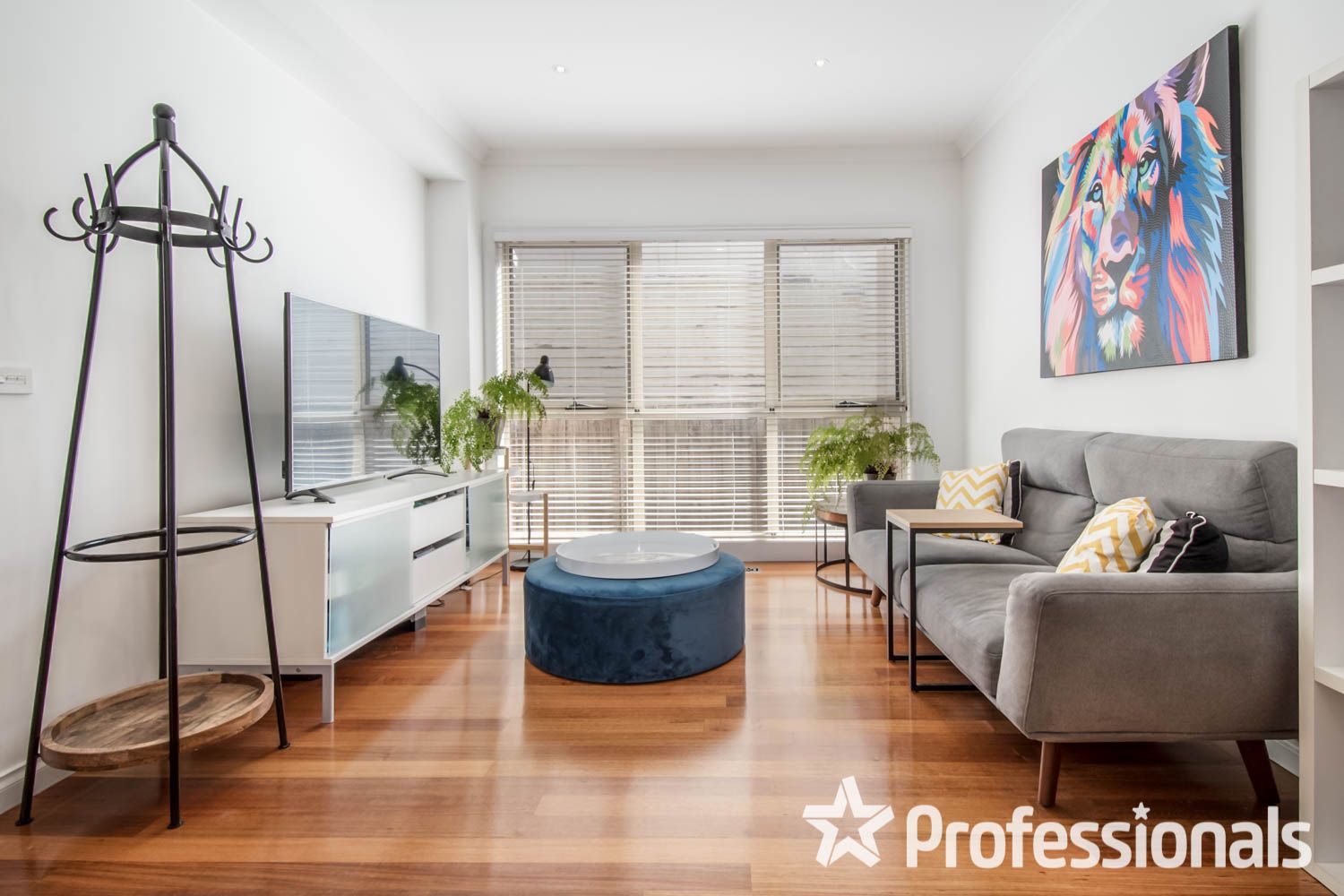 17 Kaikoura Avenue, Hawthorn East VIC 3123 House For Rent Domain