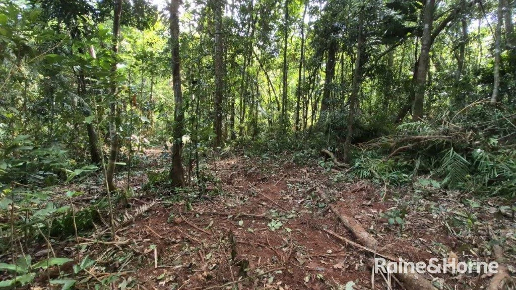 Image 14