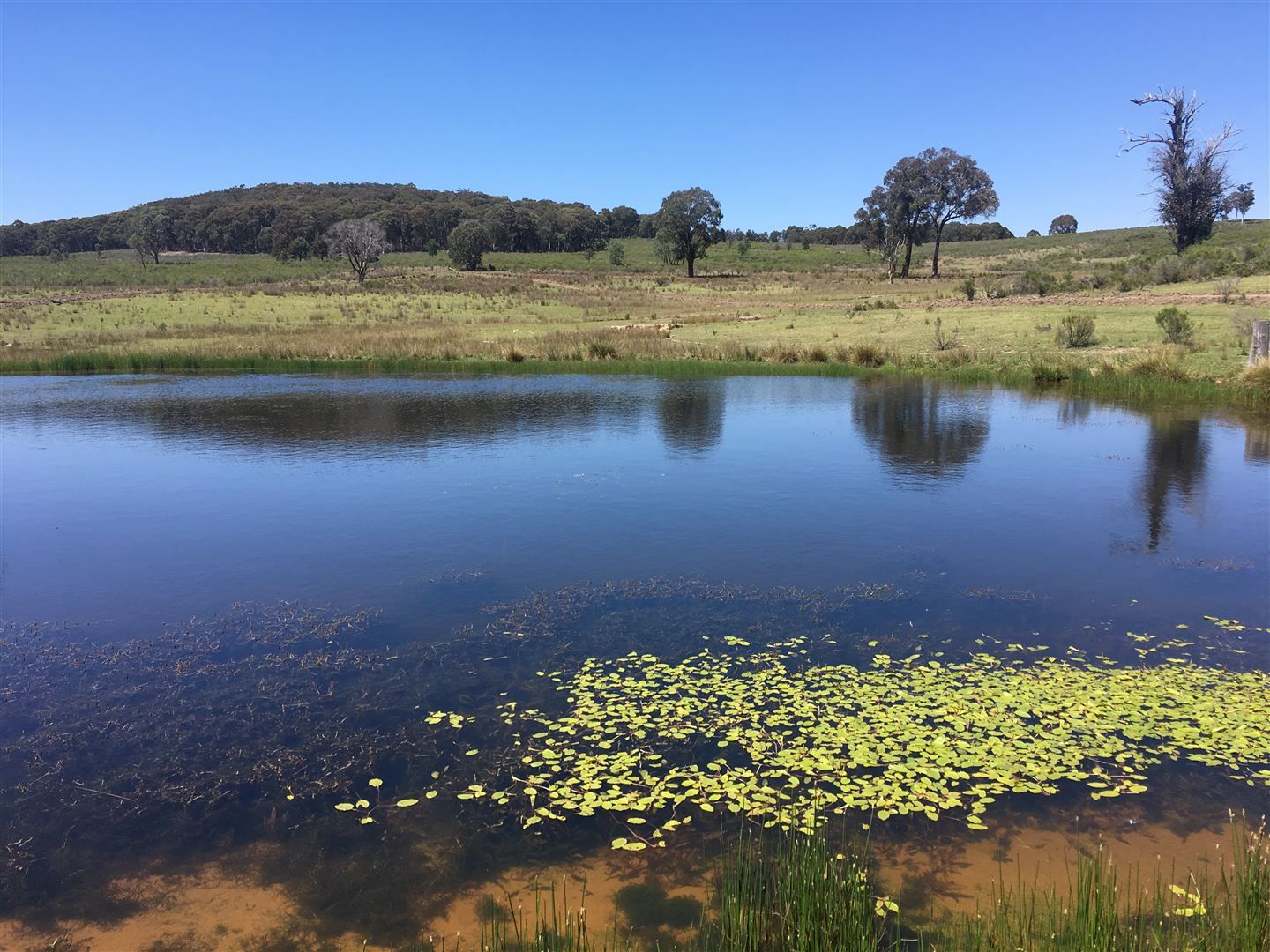 Lot 14/587 Bonds Road, Hargraves NSW 2850, Image 0