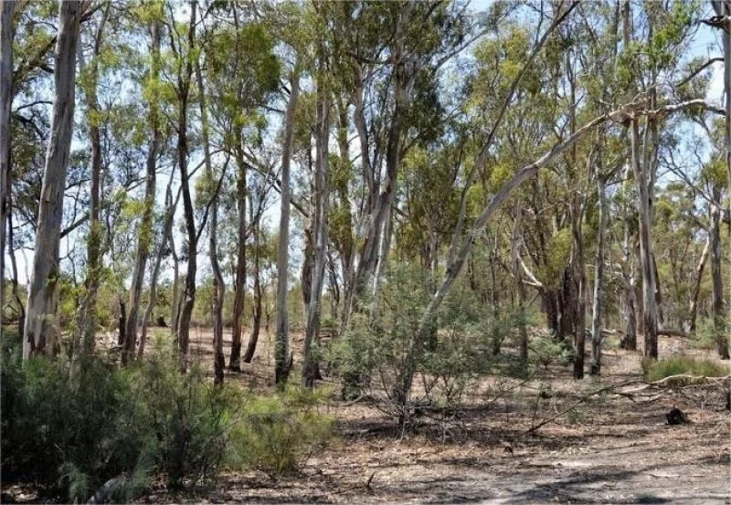 Image 9