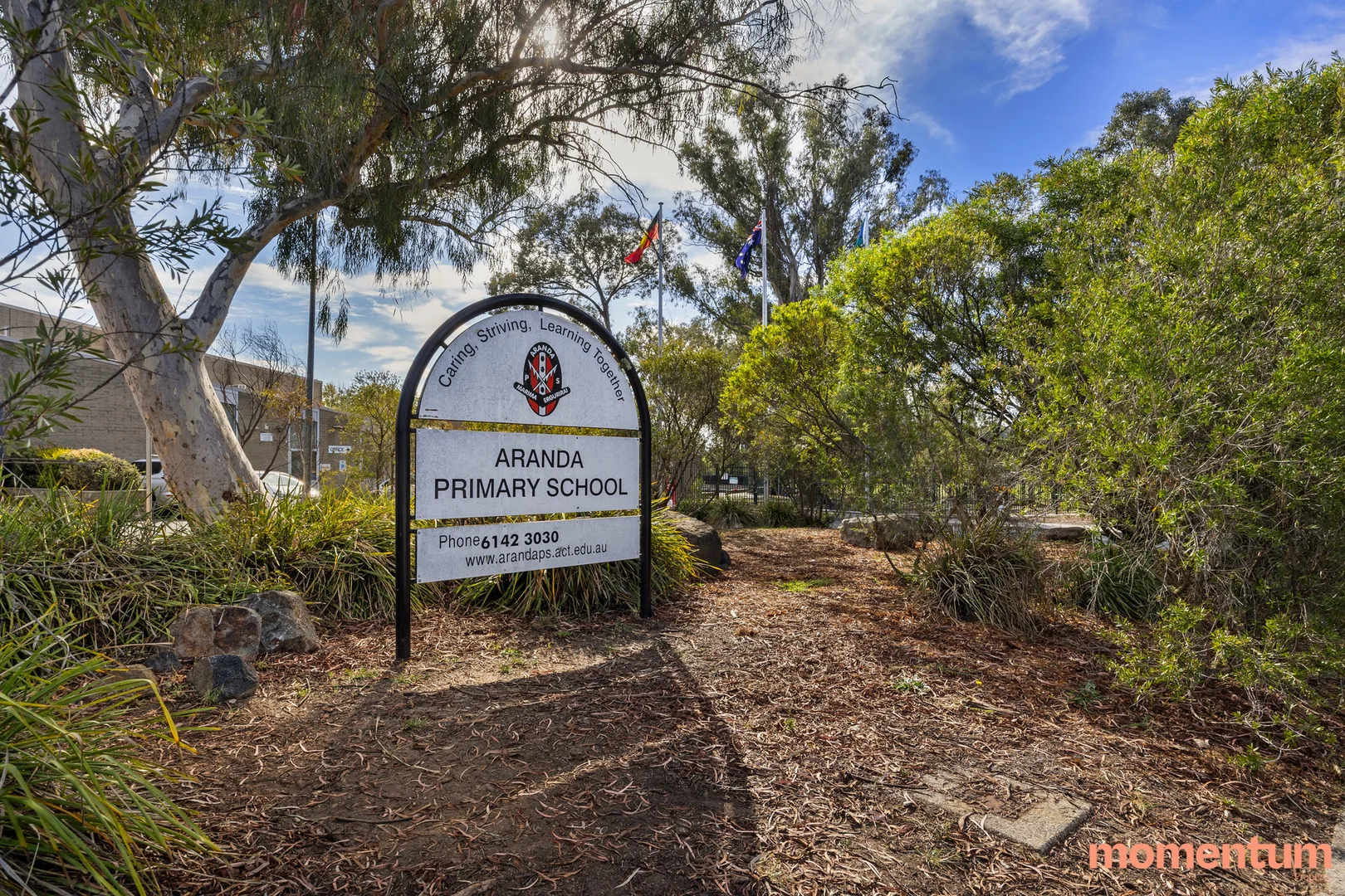 Image 30