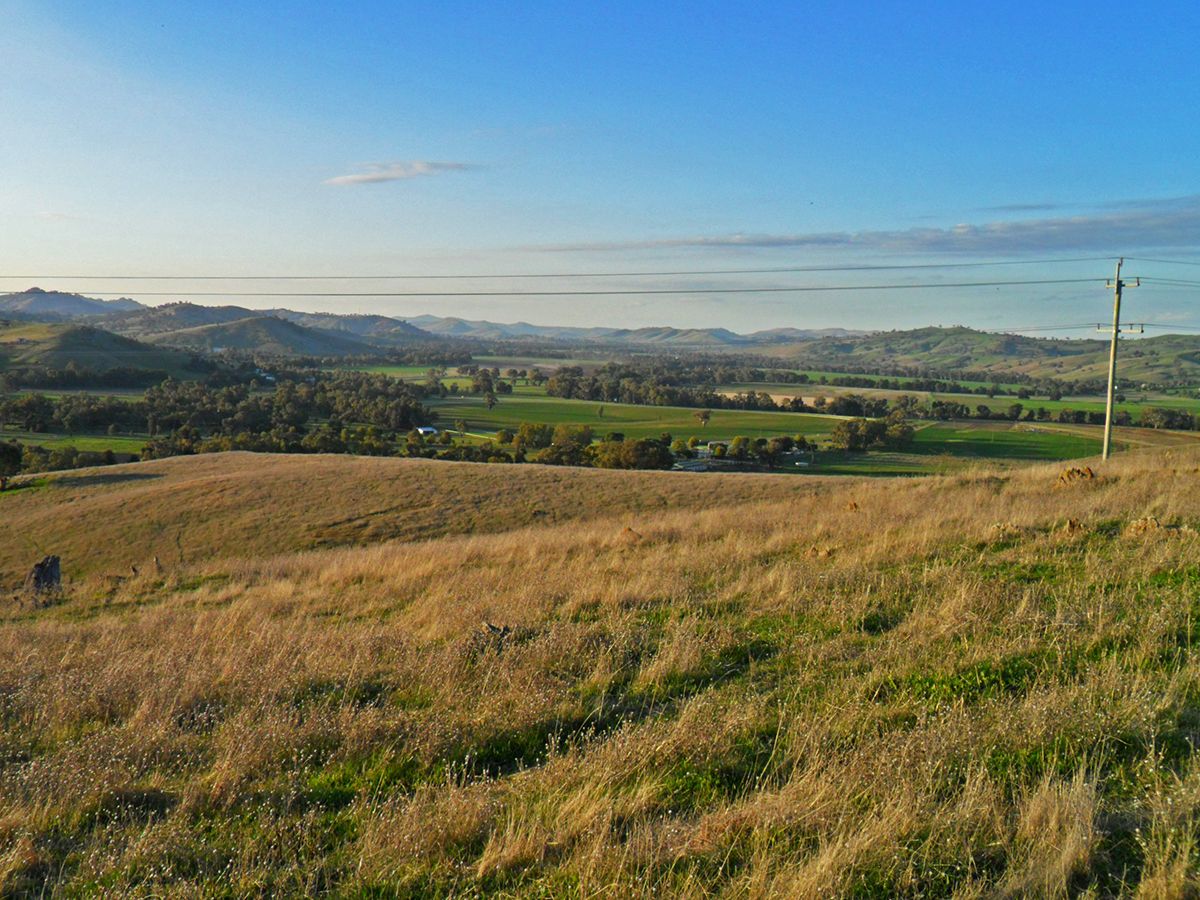 Lot 3 Springfield Lane, Gundagai NSW 2722, Image 2